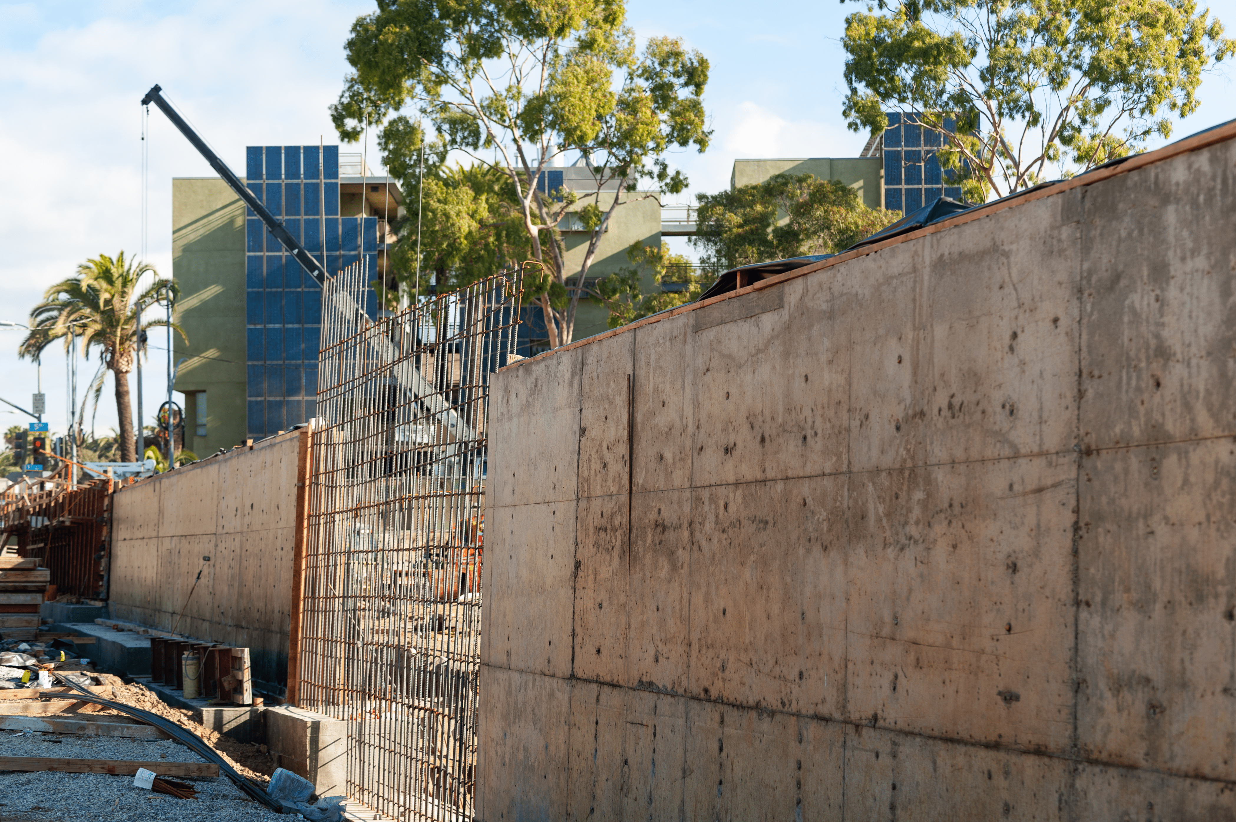Photo of a concrete wall being constructed in the foreground, with a crane and several tall trees in the background.